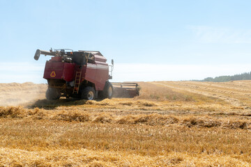 combine harvester while working in the field with wheat during the harvesting campaign. Healthy food and eco-friendly product, no preservatives, the area is free of environmental pollution