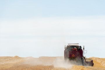 Fototapeta premium combine harvester while working in the field with wheat during the harvesting campaign. Combine harvesting the wheat field. The harvest season of grain crops.