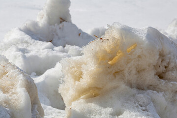 Textured surface of dirty melting snow with ground and soil