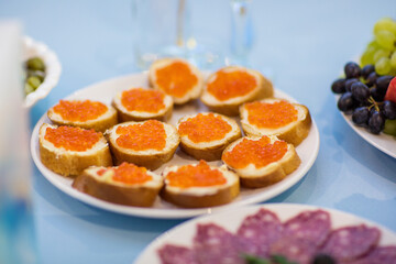 Fototapeta na wymiar delicious canapes and snacks on the table