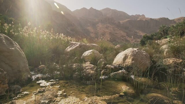 Omani Wadi Shrub land seeping down water stream surrounded by Desert - Ground level wide slow pan shot