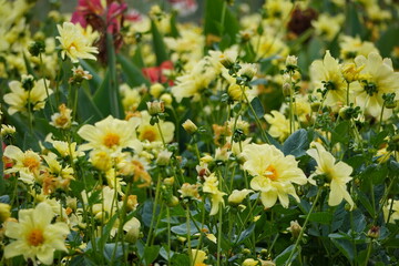 Ausflug nach Ludwigslust