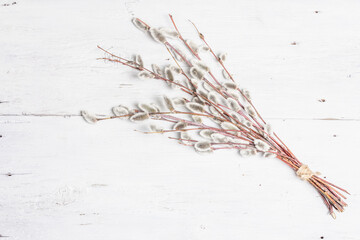 Sprig of willow on old white wooden boards background © FuzullHanum