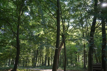 Besuch in Ludwigslust