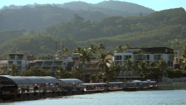 boats in the harbor