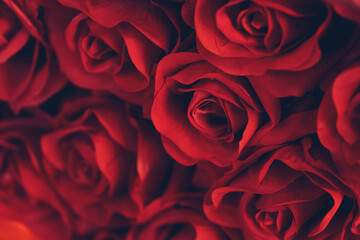 Red roses background. Romance love valentine day decoration bouquet bloom