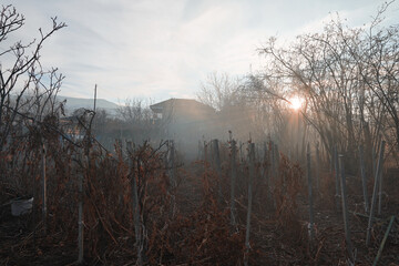 Beautiful foggy weather in the countryside. You can 
 barely see houses.