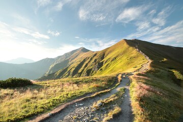 Trail through the Carpathian Mountains during sunrise, July