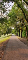 Fototapeta premium path in the park