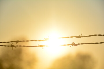 Barbed wire fence at orange sunset