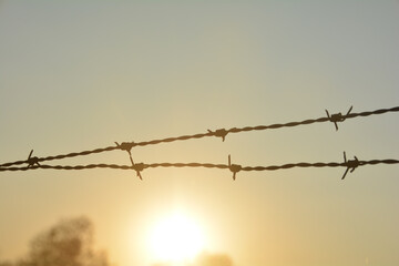 Barbed wire fence at sunset