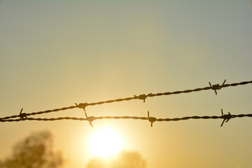 Barbed wire fence at sunset with many sky