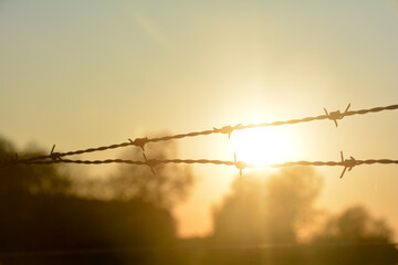 Barbed wire fence at sunset with the sun