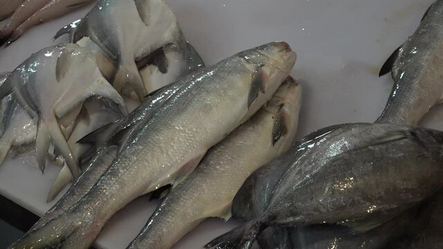 A woman it's preparing the fishes for saling in the fish market of Muscat, Oman.