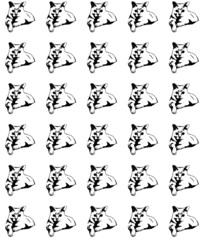 black and white background with cats