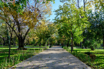 Landscape with the main alley with vivid green and yellow plants, green lime trees and grass in a sunny autumn day in Parcul Operei (Opera Park) in Bucharest, Romania .