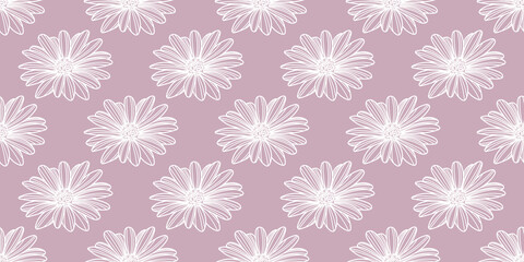 Daisy flower vector pattern background. Pink wallpaper.