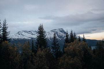 clouds in the mountains