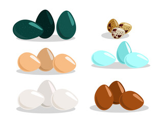 Set of eggs vector illustration