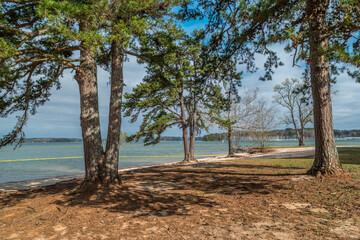 Fototapeta na wymiar Lake beach area with trees