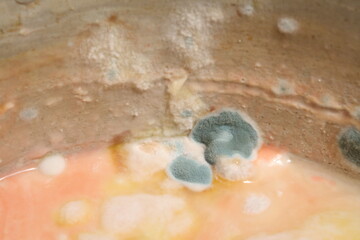 close-up photographed of natural yoghurt that has expired and has mold on its surface 