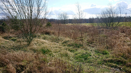 Dzika natura wiosną. © WalDec