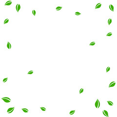 Falling green leaves. Fresh tea random leaves flyi