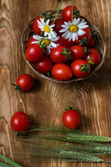 tomatoes in a basket on a wooden table with white chamomile flowers