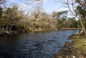 Fototapeta na wymiar River flowing from Upper Lake to Muckross Lake in Killarney National Park. Ireland. Europe.