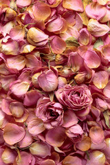 Dried rose flowers, petals, and leaves.
