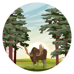 Round composition. Elk Alces alces male with big horns walks near a pine forest at sunset. Summer day in nature. Realistic vector landscape with wild animal 