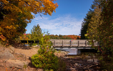 Scenic view of autumn leaves in Gatineau Park