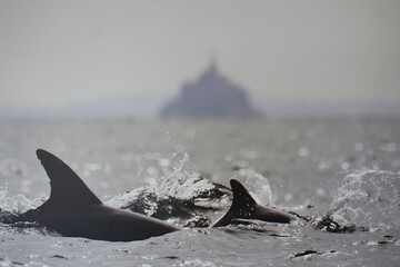 Mont St. Michel