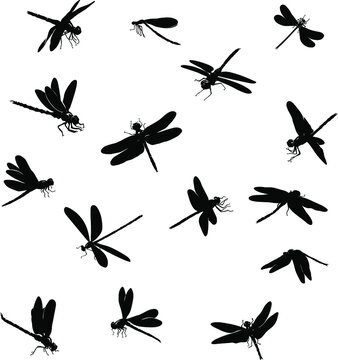 dragonfly, insect, various poses, movements and foreshortenings of figures, black, , black silhouette