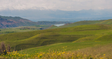 Obraz premium landscape with grass and blue sky
