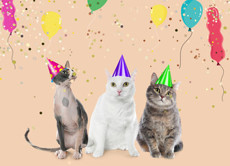 Adorable cats with party hats on beige background