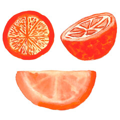 Watercolor set of orange. Citrus. Recent watercolor paintings of organic food. Fresh exotic fruit.