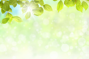 Frühling 538