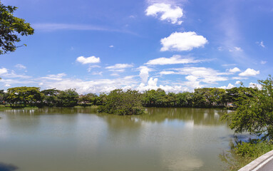Fototapeta na wymiar Panoramic of a lake, trees and blue sky. Lake Chilicote Tuluá Valle del Cauca Colombia.