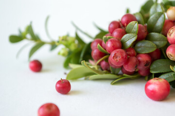 Ripe, juicy, sweet lingonberries in a plate on a white background. Vaccinium vitis-idaea