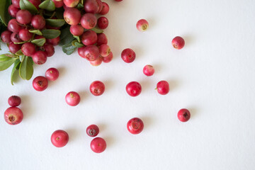 Ripe, juicy, sweet lingonberries in a plate on a white background. Vaccinium vitis-idaea
