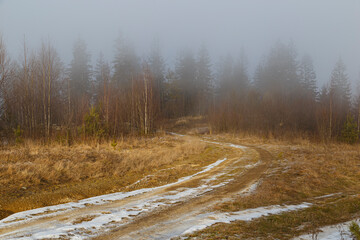 Spring foggy morning in the Carpathian mountains. Ukraine