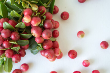Ripe, juicy, sweet lingonberries in a plate on a white background. Vaccinium vitis-idaea