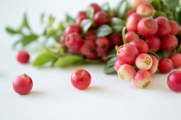Ripe, juicy, sweet lingomberries in a plate on a white background. Vaccinium vitis-idaea