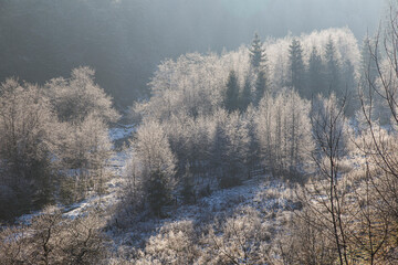 Fototapeta na wymiar Sunny frosty day in the mountains