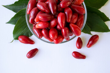 Ripe cornelian cherry. Dogwood fruits isolated on white background. Red berry Cornus