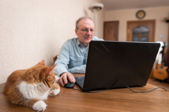 Man with laptop at home with a ginder cat. An image of a man out of focus in the background 