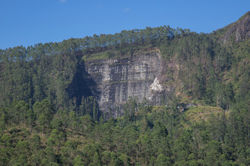 Quarry and eucalyptus