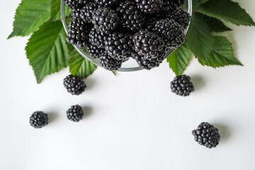Fresh blackberry with green leaves isolated on white background. Ripe blackberry fruits with leaves.