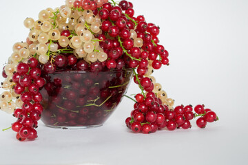 Ripe red currants close-up. Plate of fresh currant. White and red currants